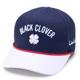 Navy/White