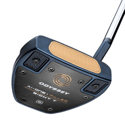 Browse Golf Putters - Buying Guide